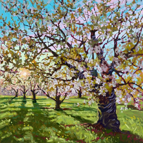 Blossoms at Golden Hour