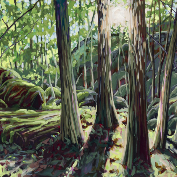 When the Light Shines Through