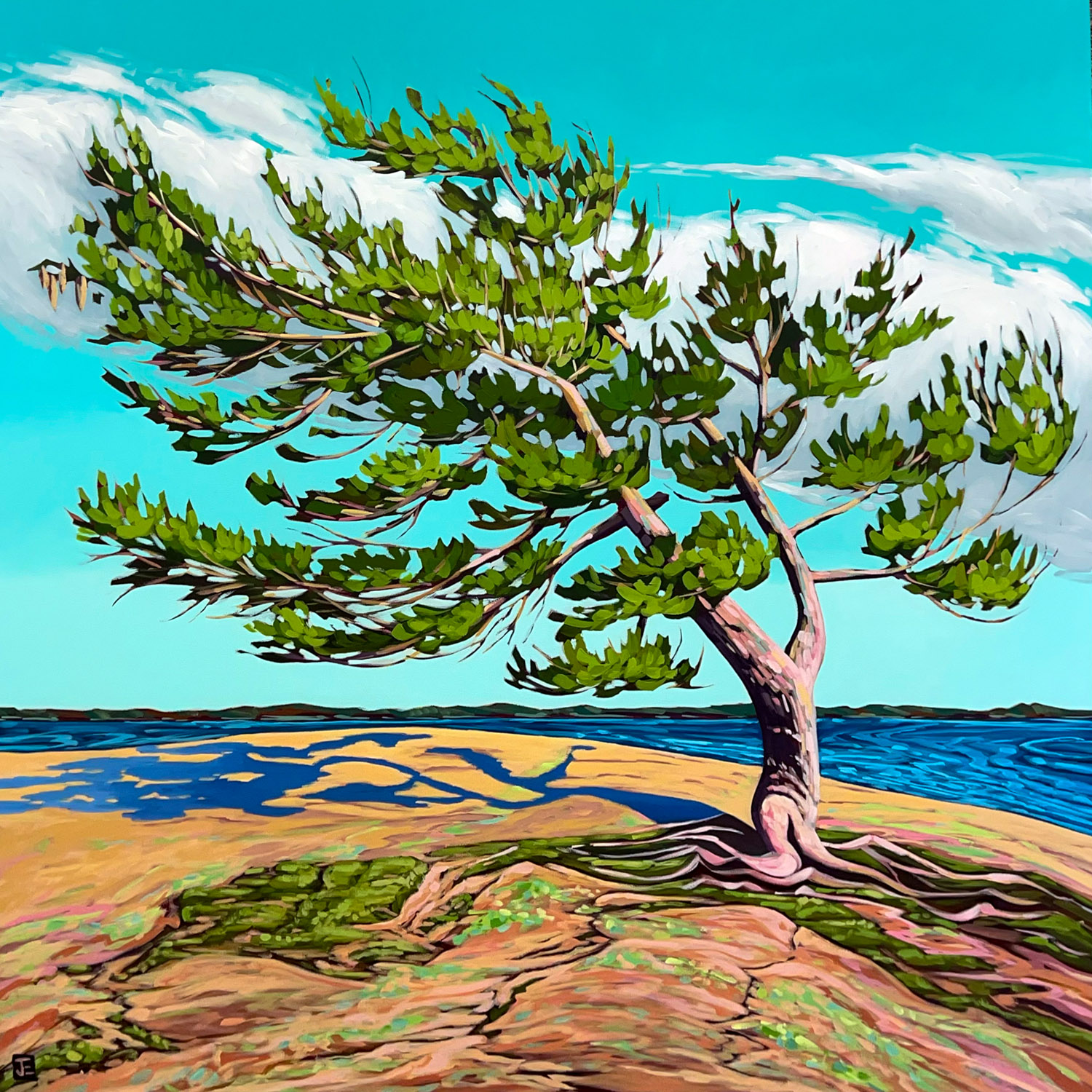 Jennifer Elliotson - North of Here